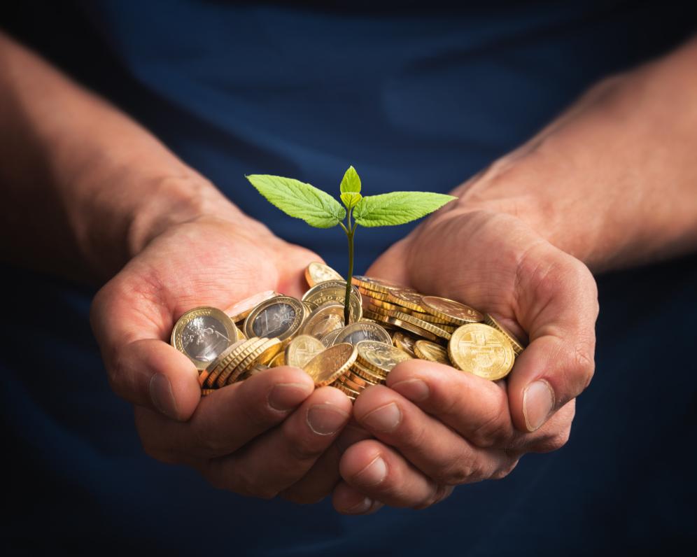 Zaujímavé investičné príležitosti za minimálny kapitál sa vyplatia